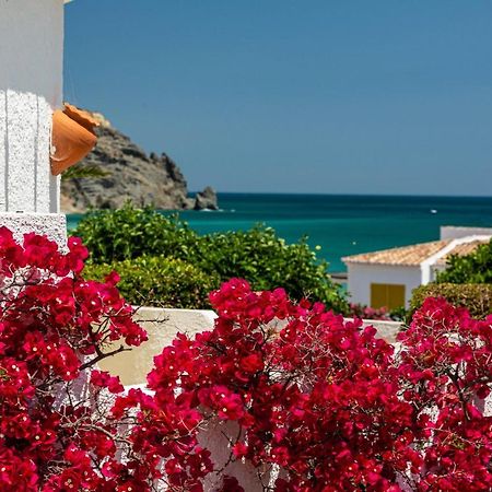 Lemon Tree Apartment Luz Екстериор снимка